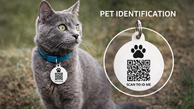 Pet Identification